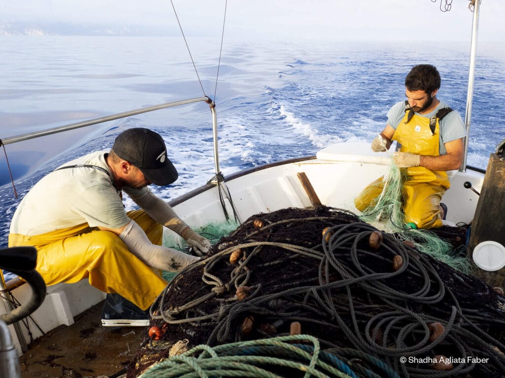 Calant Xarxes Pesca Sostenible En Las Islas Baleares Calant Xarxes Pesca Sostenible En Las Islas Baleares