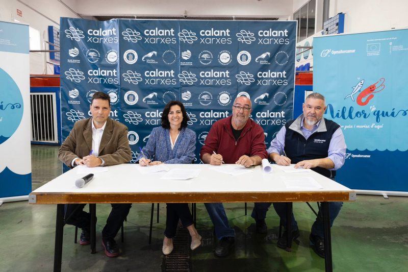 WhatsApp Image 2024-04-10 at 10.18.52